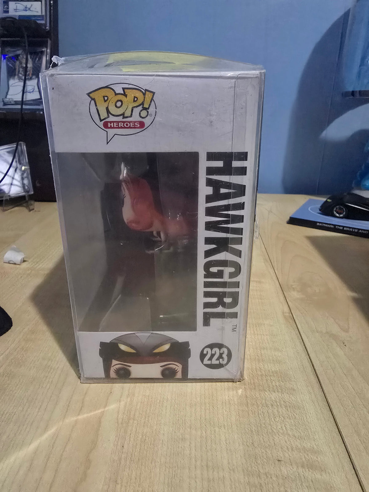 Hawkgirl 223