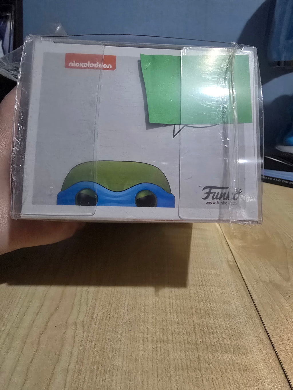 Leonardo 16