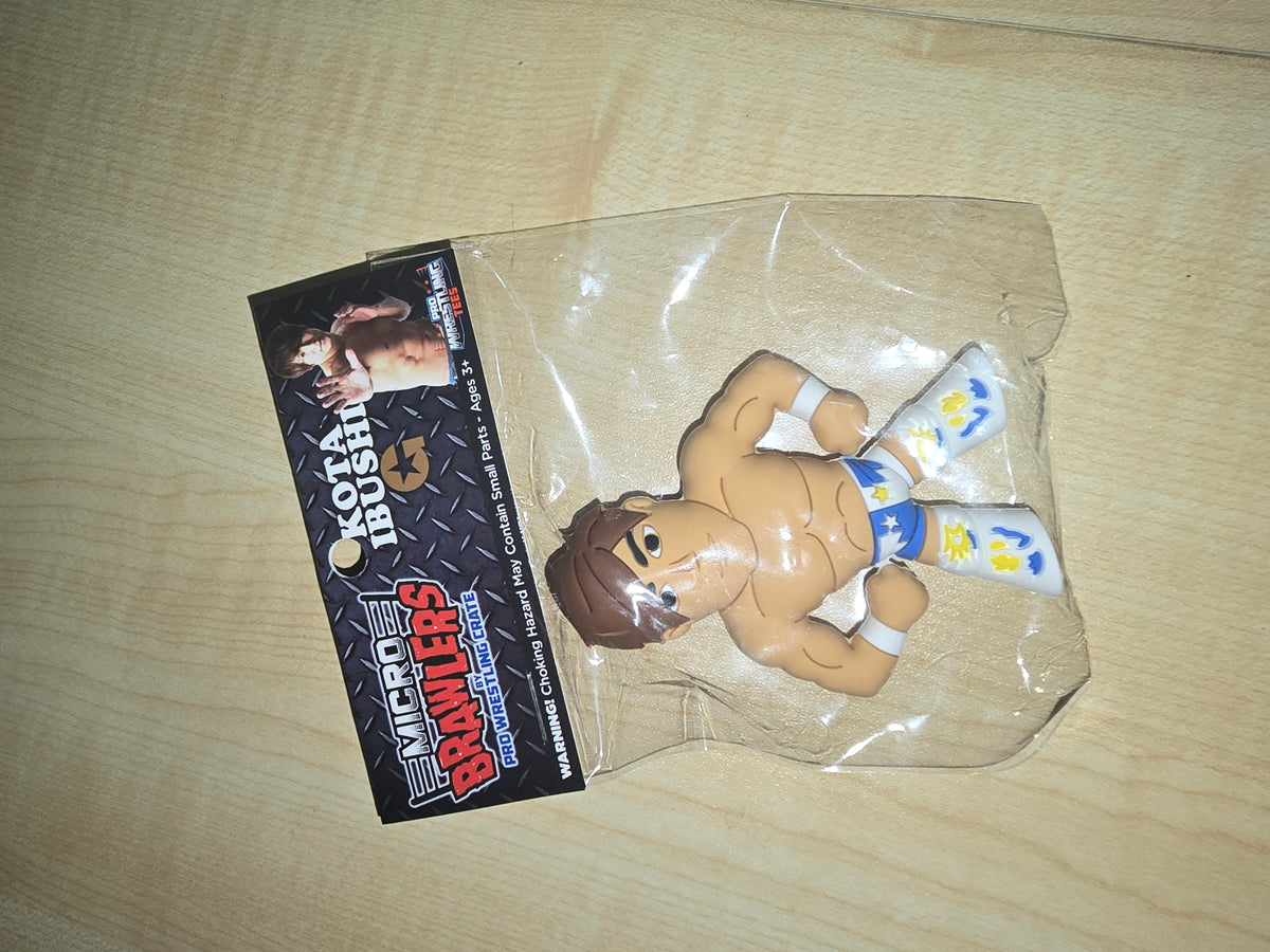 Kota Ibushi